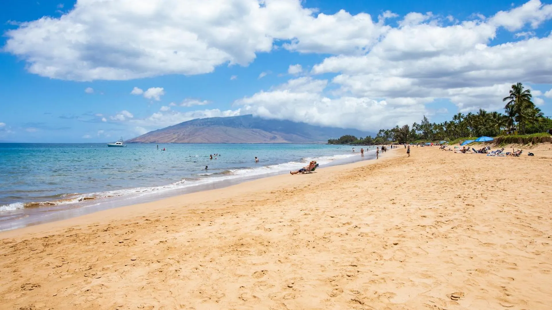 Charming Loft 2Br With Free Parking & Near Beach! Kihei 0*,