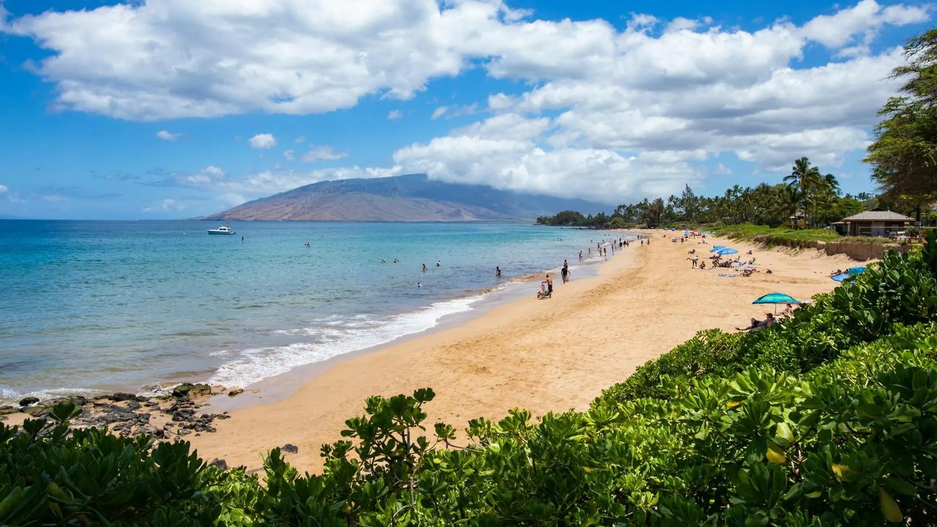 Διαμέρισμα Charming Loft 2Br With Free Parking & Near Beach! Kihei Ηνωμένες Πολιτείες της Αμερικής