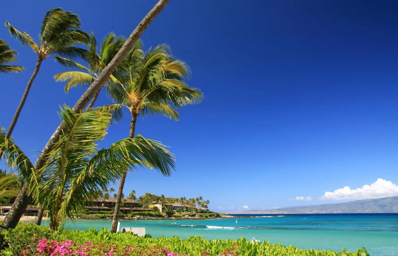 Apartment Charming Loft 2Br With Free Parking & Near Beach! Kihei