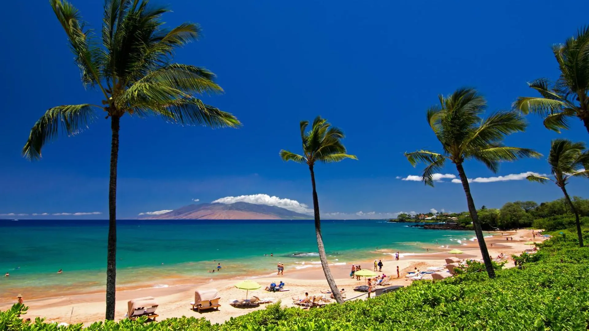 Apartment Charming Loft 2Br With Free Parking & Near Beach! Kihei