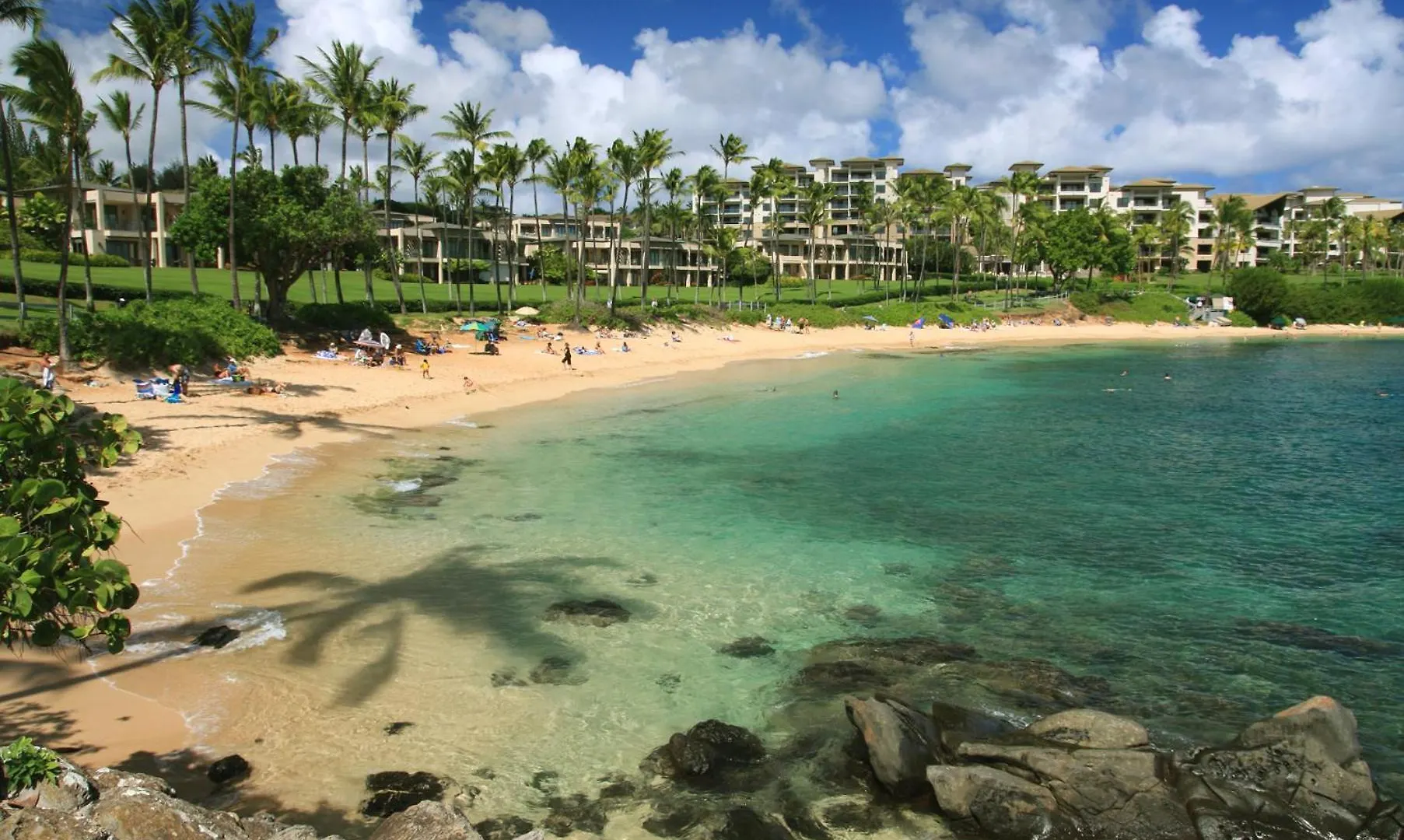 Charming Loft 2Br With Free Parking & Near Beach! Kihei