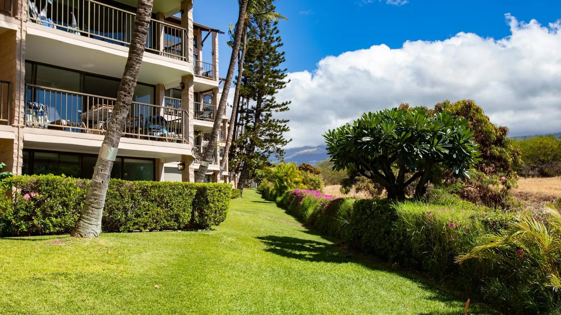 Charming Loft 2Br With Free Parking & Near Beach! Kihei 0*,  United States