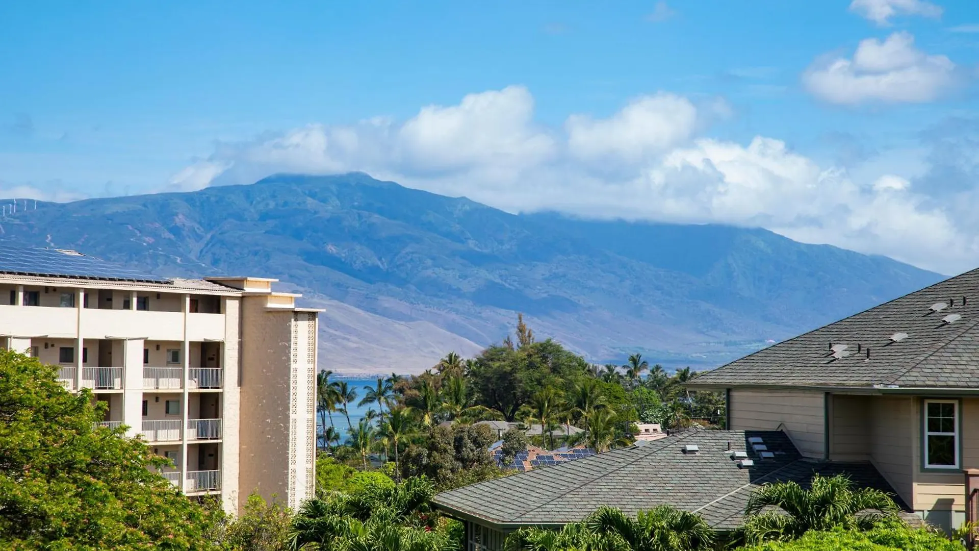 Apartment Charming Loft 2Br With Free Parking & Near Beach! Kihei