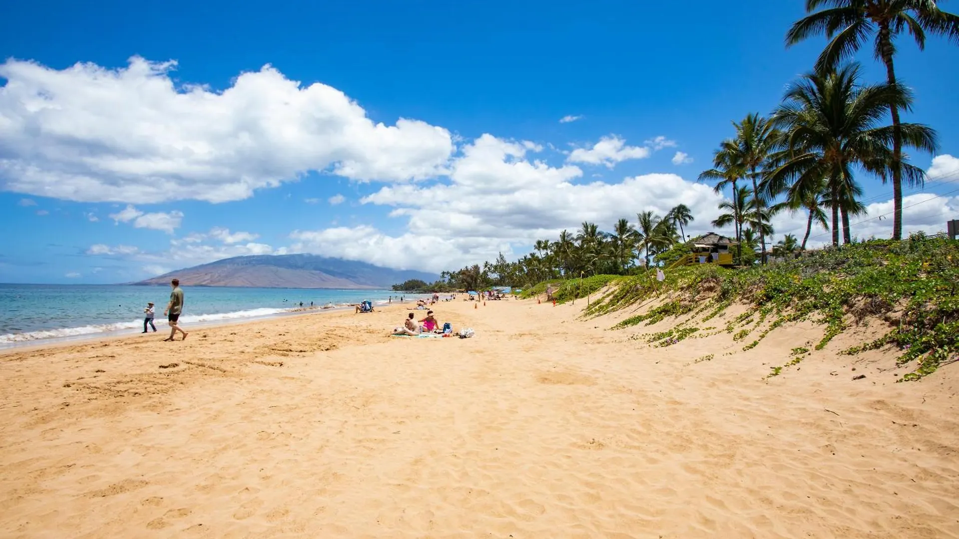 Apartment Charming Loft 2Br With Free Parking & Near Beach! Kihei